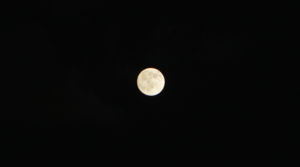 スクリーンショット 2025-10-13 17.05.38.png