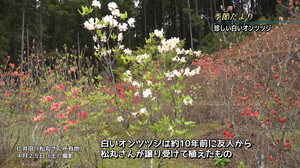 n1237.jpg